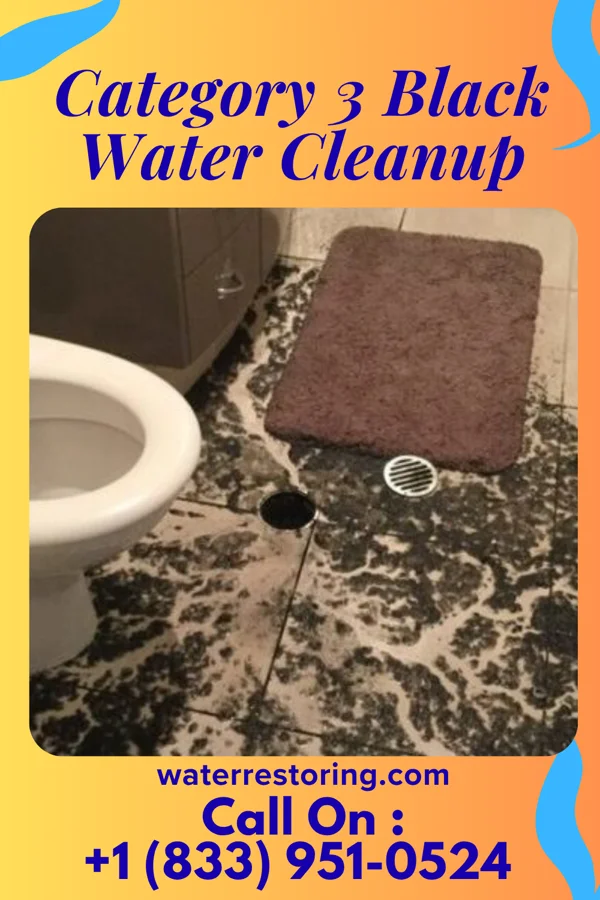 Category 3 Black Water Cleanup in Lovettsville, VA