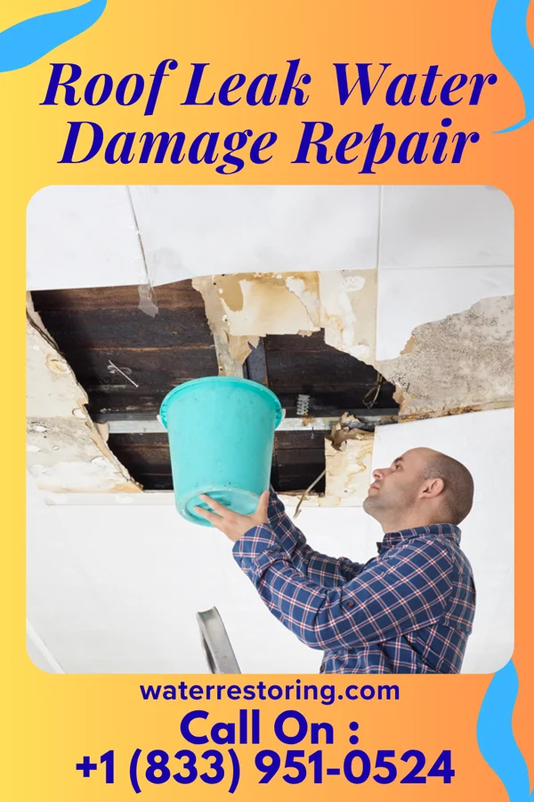 Roof Leak Water Damage Repair in Lovettsville, VA