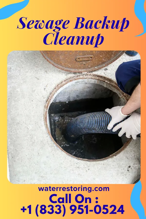 Sewage Backup Cleanup in Lovettsville, VA
