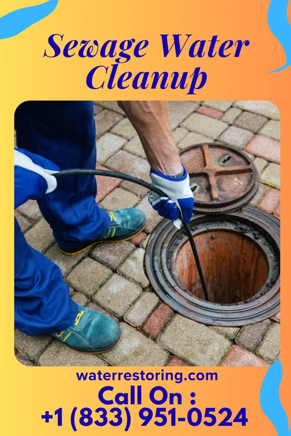 Sewage Water Cleanup in Lovettsville, VA